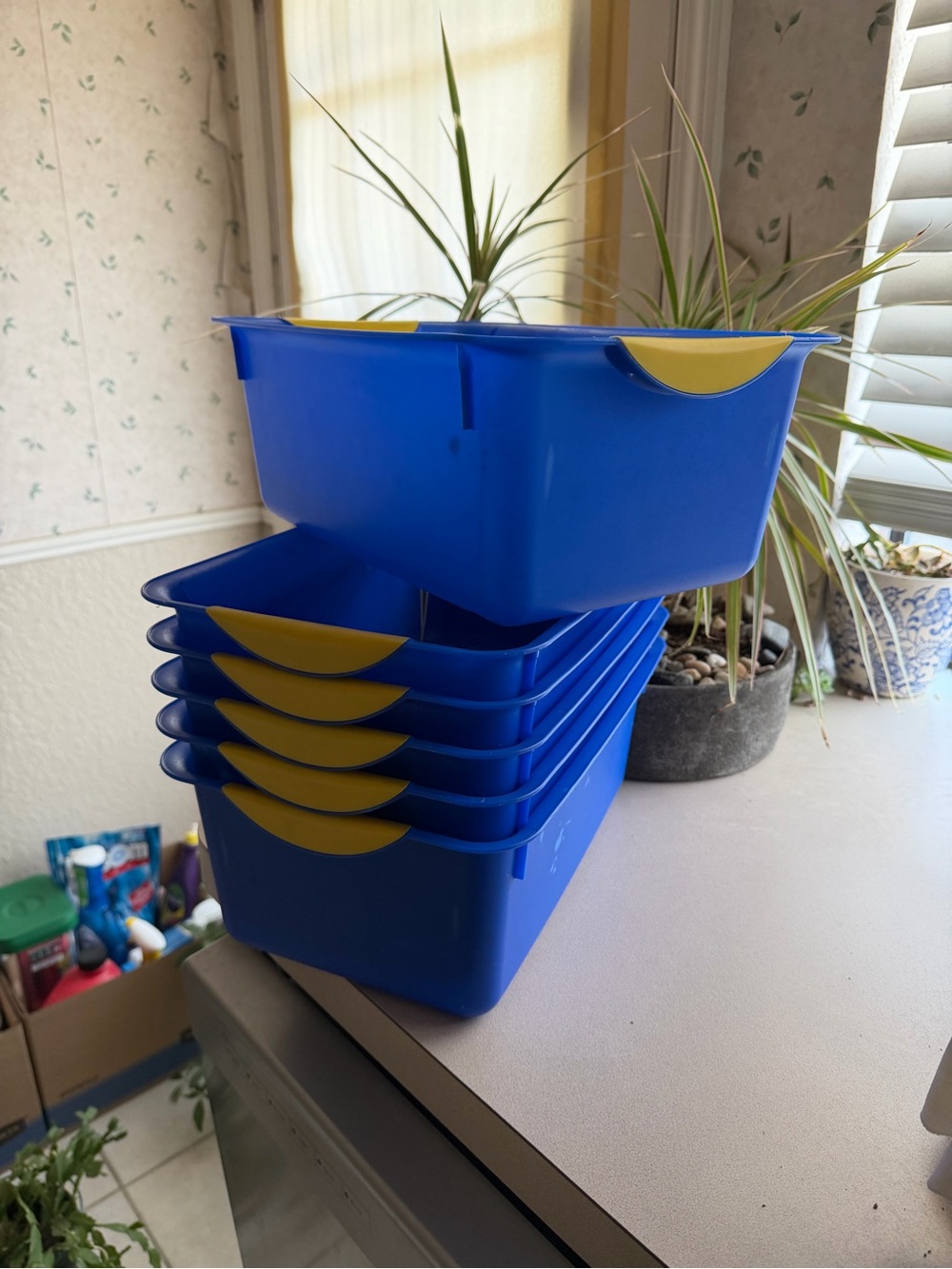 Sterilite sturdy stackable Blue Storage Bins with Yellow Handles - Set of 6.